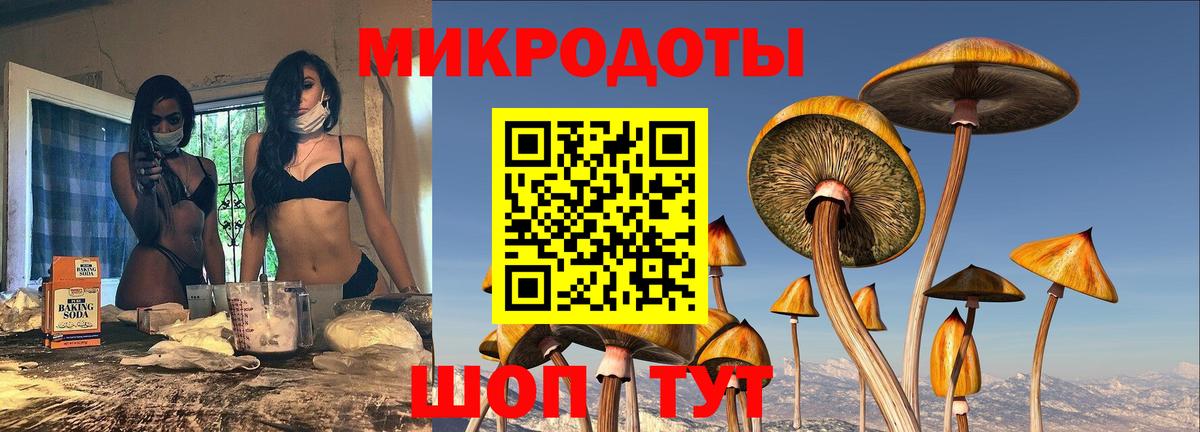 Дальнегорск  Псилоцибиновые грибы Cubensis  Вход с VPN 