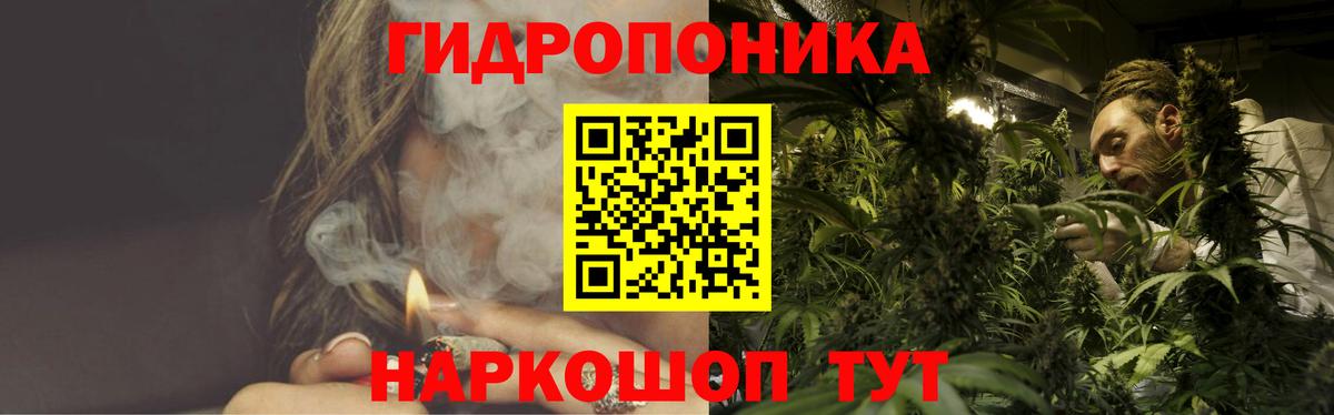 Конопля Bruce Banner Дальнегорск